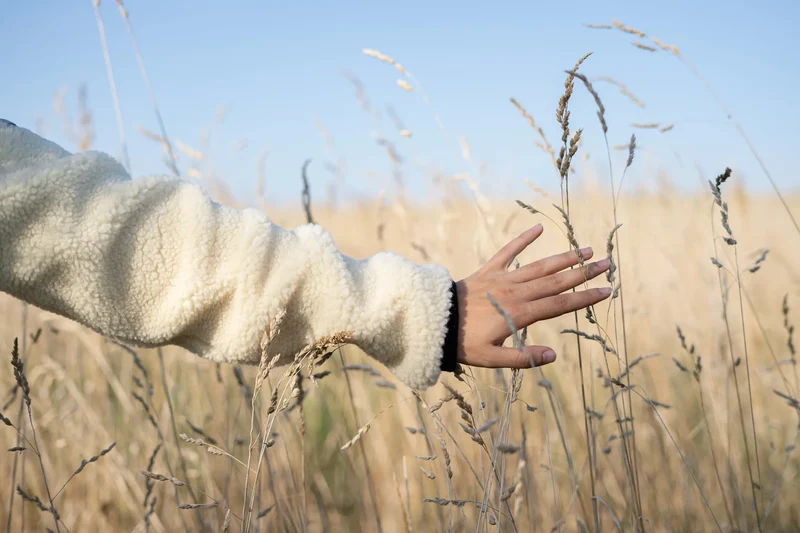 Knut | Pullover