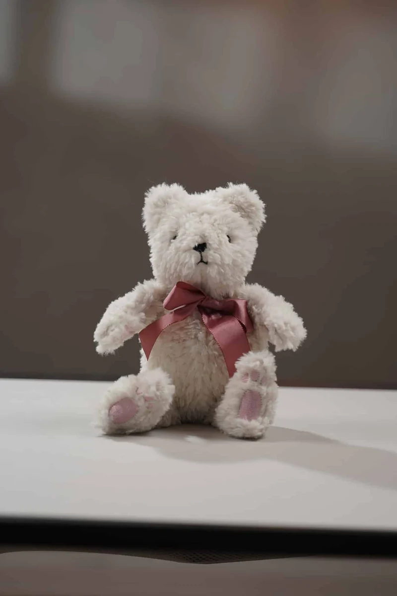 ITH Stickdatei Teddy ELLY + Videokurs