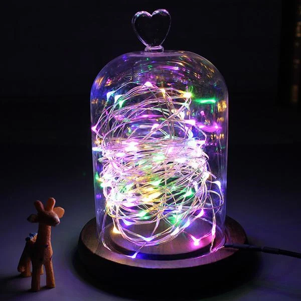 100 Led Copper Wire Remote String Lights(1 Set)