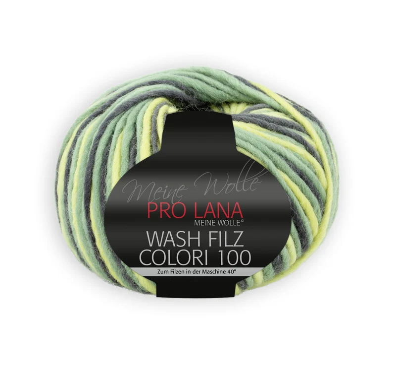 PRO LANA Wash-Filz colori 100