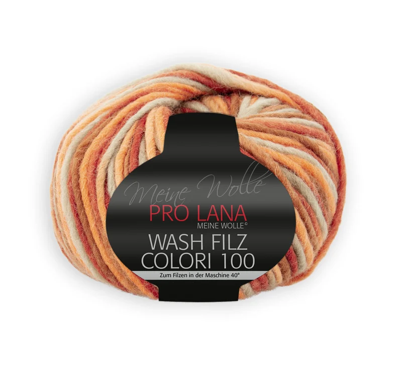 PRO LANA Wash-Filz colori 100