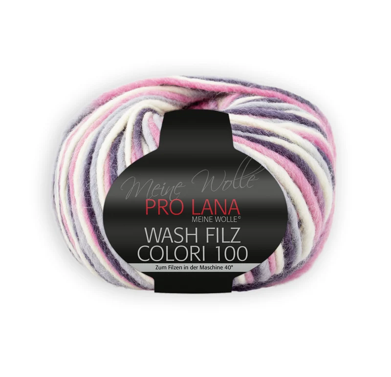 PRO LANA Wash-Filz colori 100