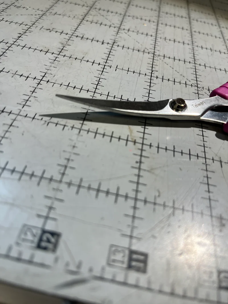 Curved scissors by Havel 5.5” B4