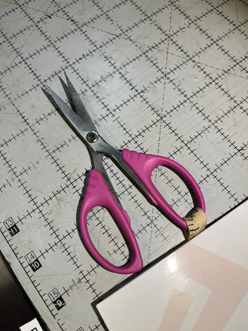 Curved scissors by Havel 5.5” B4