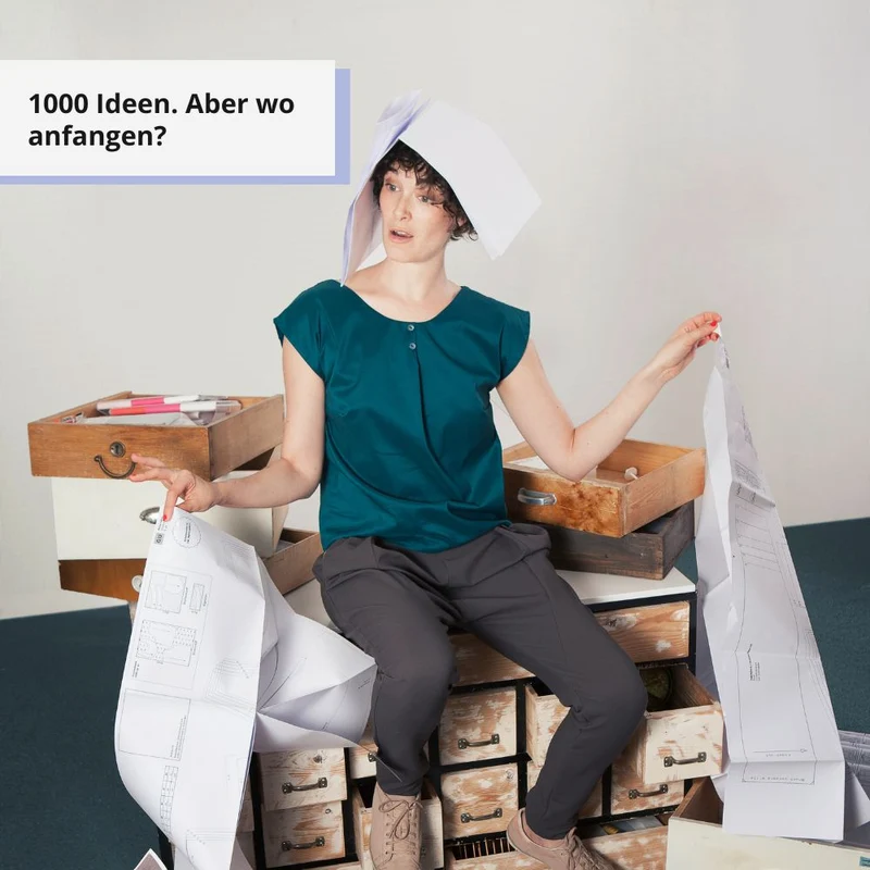Onlinekurs "Näh-Boss-Methode"