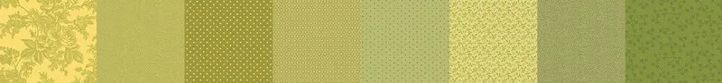 Patricks Promise- Strip-It Lime R162101D-LIME