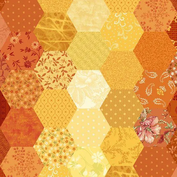 Patricks Promise- Hexagon Multi R162111D-MULTI