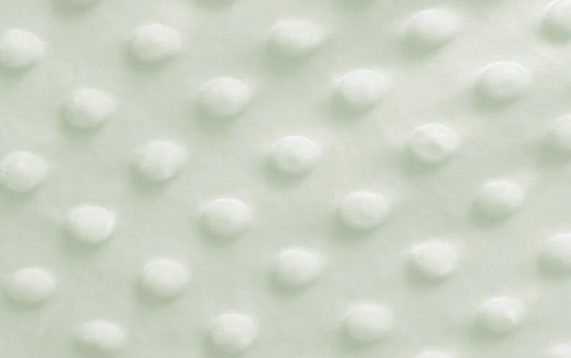 Minky Fleece mint