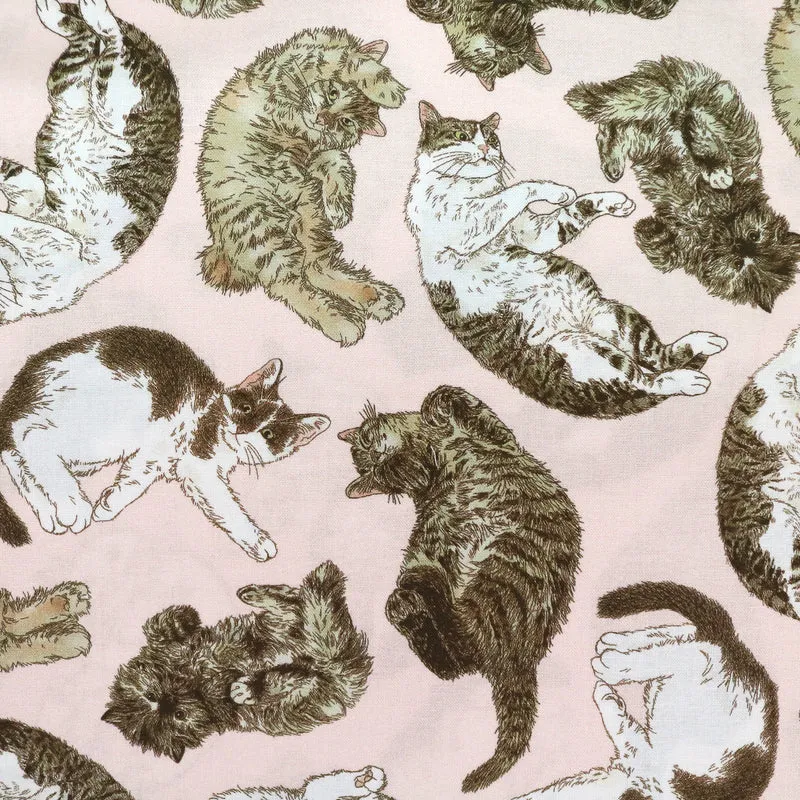 365 Cat Art - Cats Everywhere
