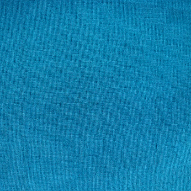 Echino - Solid color - Aqua