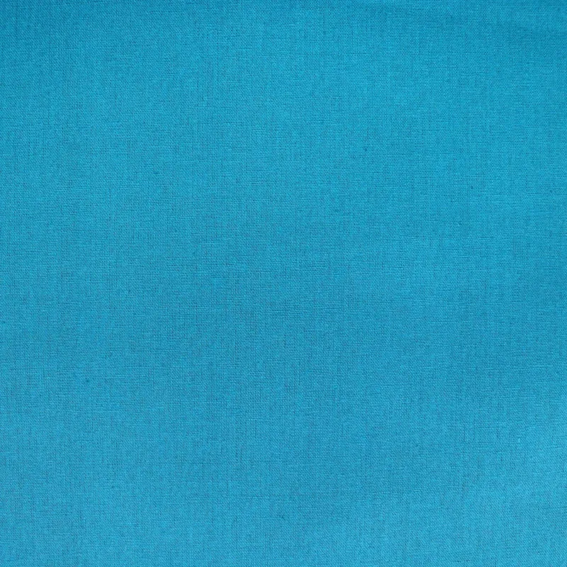 Echino - Solid color - Aqua