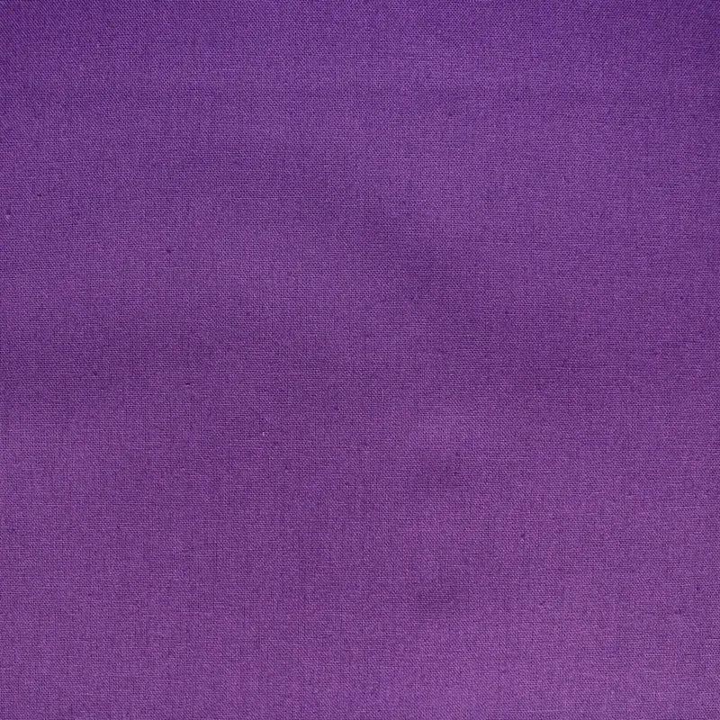 Echino - Solid color - Lila