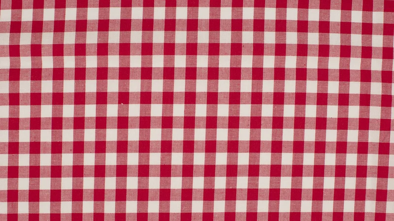 Baumwolle Karo 10 mm rot / weiß
