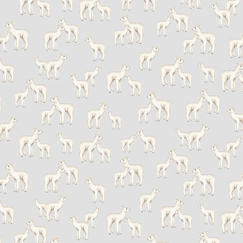 Dear Stella, ABCS Of Love, Wooly Wonders, Ash Gray