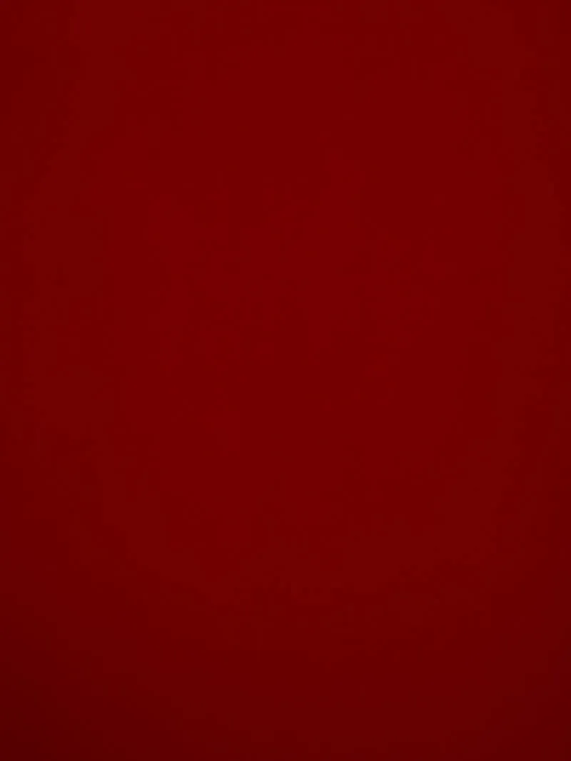 Sweat angerauht uni Swafing Eike rot