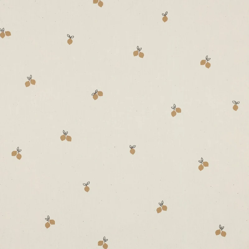 Bio Popelin Fruits