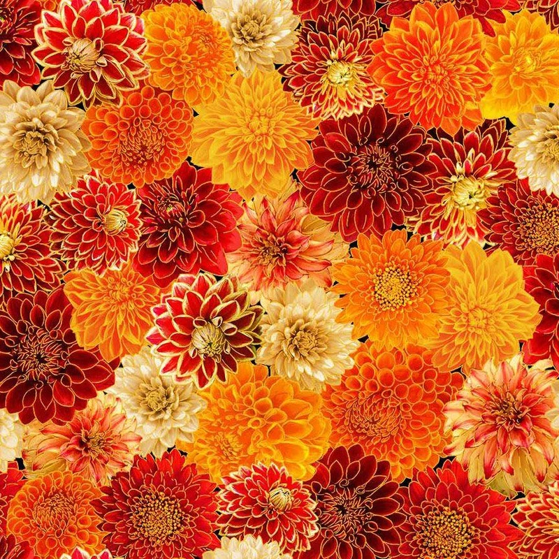 Chrysanthemum Mix-Mums, Orange, HARVEST-CM4133-MUMS