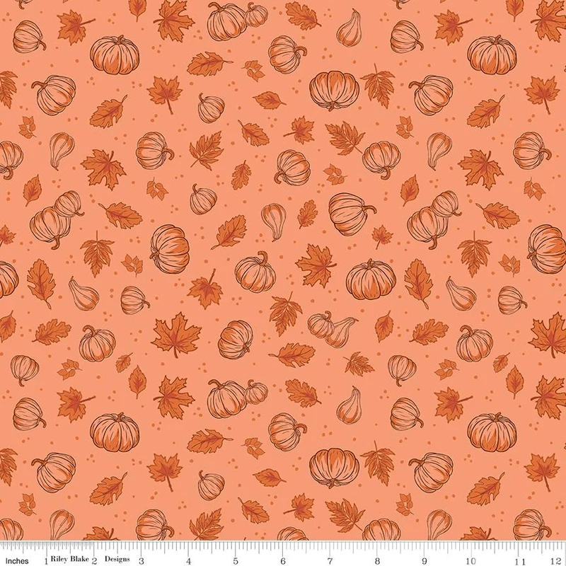 Riley Blake, Beverly McCullough, Cozy Autumn, Pumpkins Melon Orange