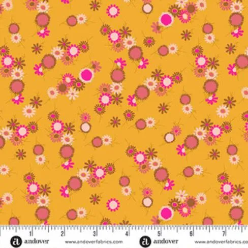 Jinny-Daisy Chain Marigold