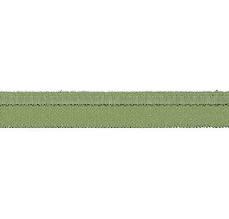 Paspel elastisch 10 mm mint