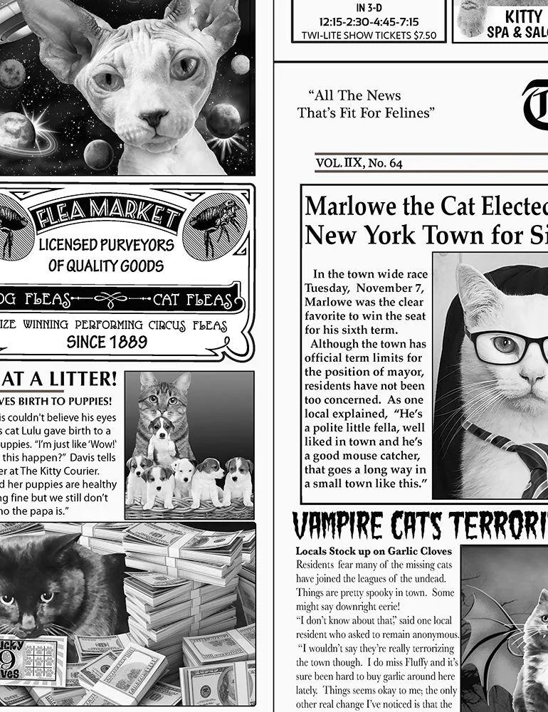 Cat Newspaper Print