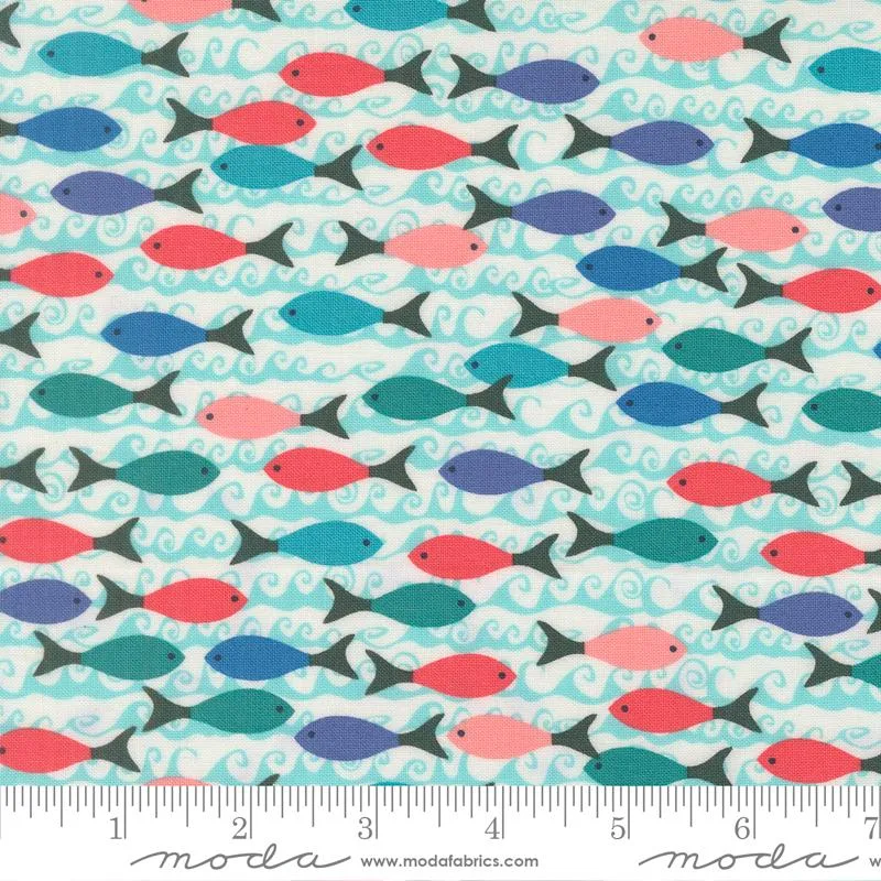 Moda, Reef, School Of Fish, Pearl