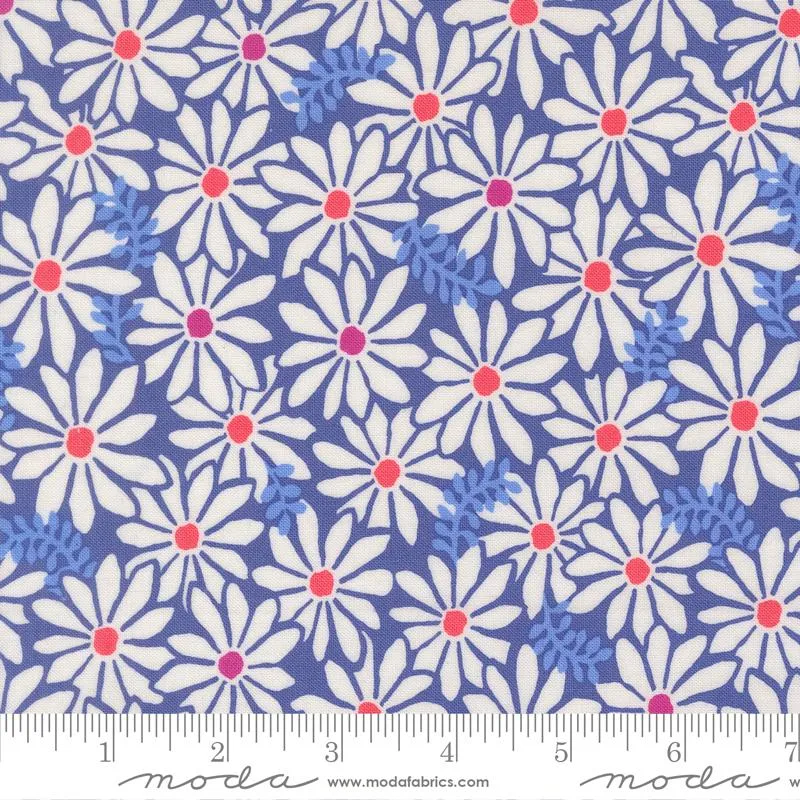 Moda, Reef, Bloom, Blue Whale