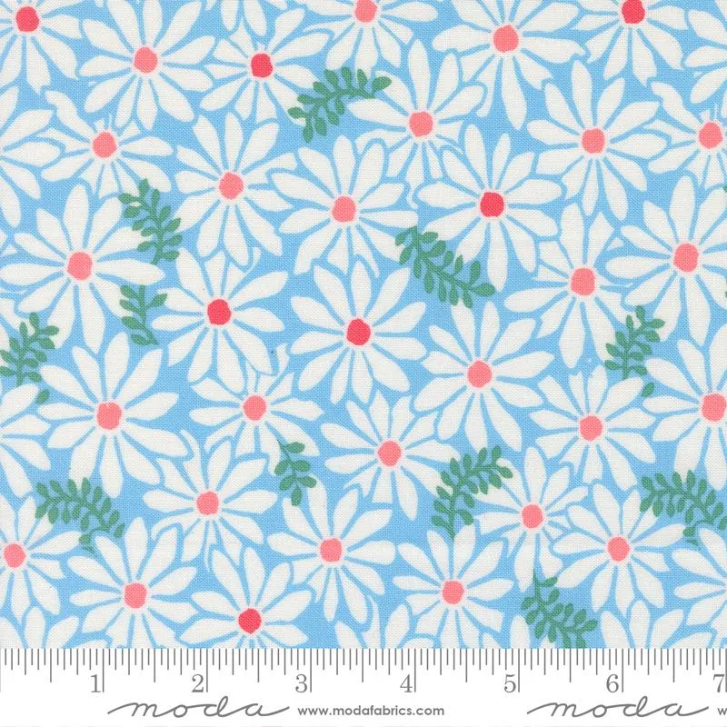 Moda, Reef, Bloom, Sky