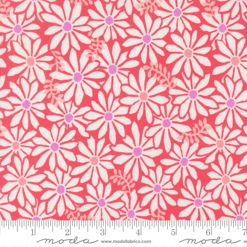 Moda, Reef, Bloom, Crab