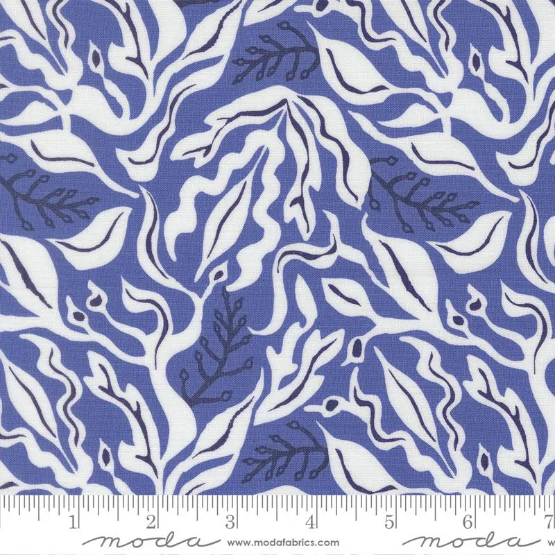 Moda, Reef, Under The Sea, Blue Whale