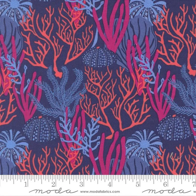 Moda, Reef, Coral Reef, Dusk