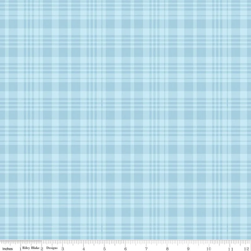 Riley Blake, Classic Winnie The Pooh, Plaid, Blue